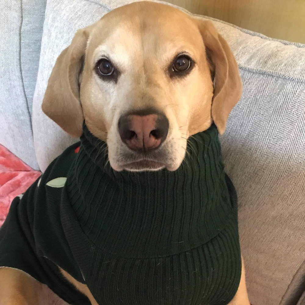 Meet your Posher, Tiffany